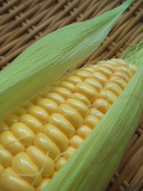f0208812_9203499.jpg