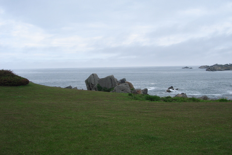 d0250123_90099.jpg