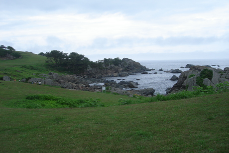 d0250123_961157.jpg