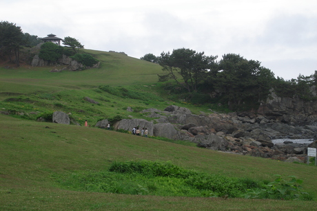 d0250123_96279.jpg