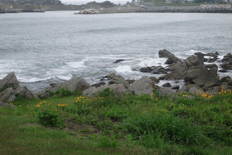d0250123_97773.jpg