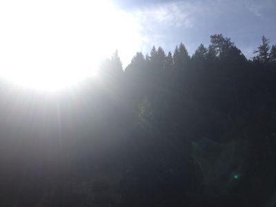 f0095325_1131551.jpg