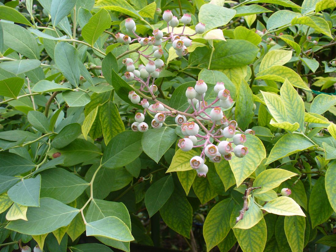 f0275632_22121884.jpg