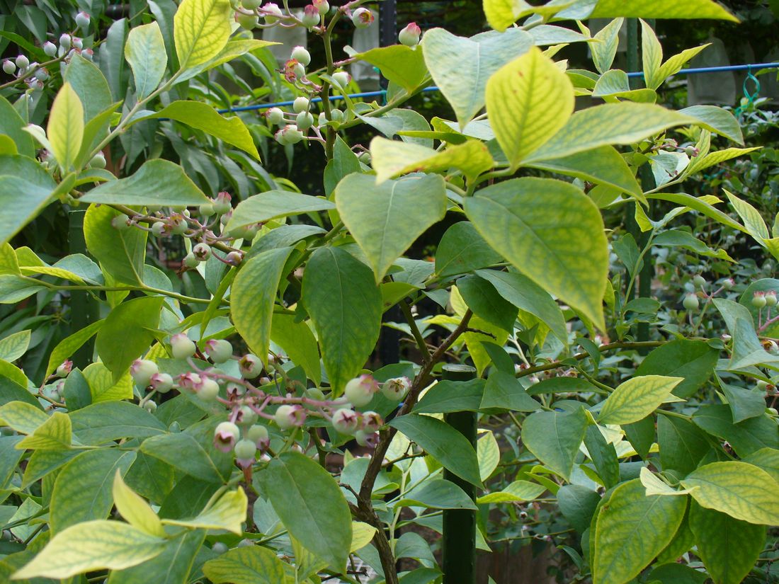 f0275632_2213432.jpg