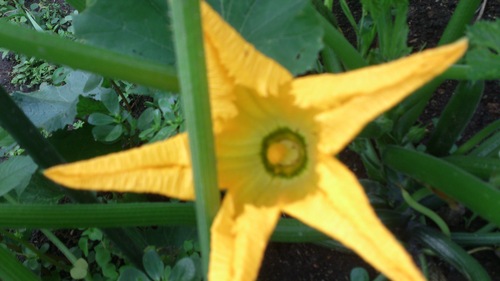 c0300035_9163497.jpg