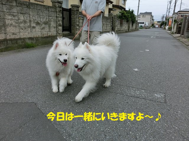e0196135_23291859.jpg