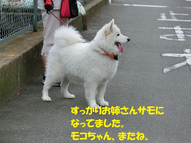 e0196135_23314126.jpg