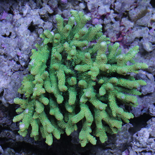 d0221436_20482363.jpg