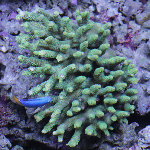 d0221436_2048445.jpg