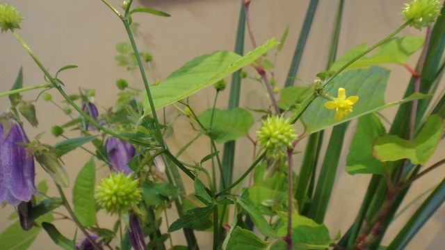 f0208737_8122598.jpg