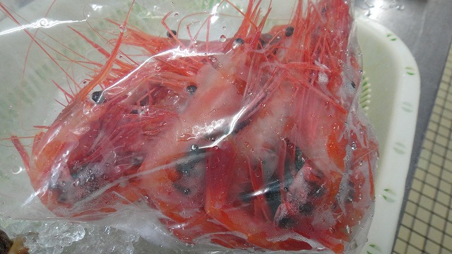 f0208737_8144040.jpg