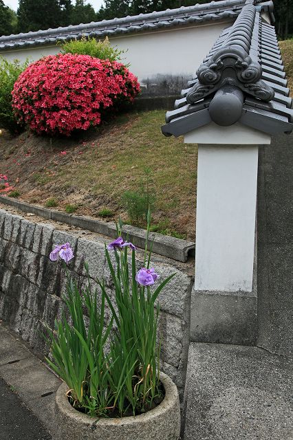 a0242438_19165564.jpg