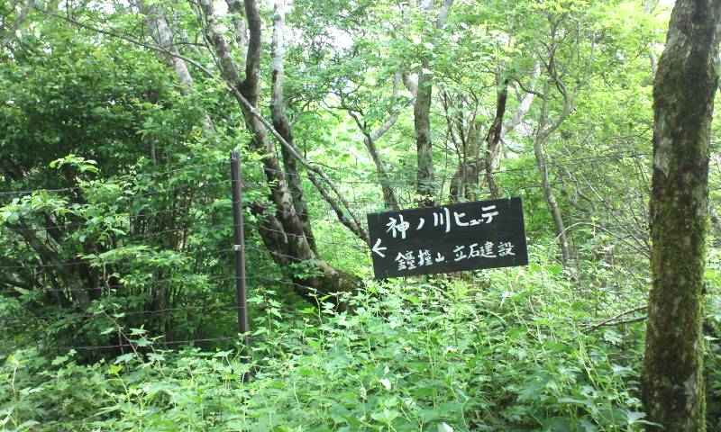 d0107938_1127248.jpg