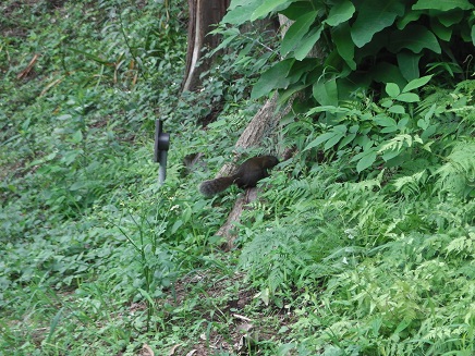 b0086939_23291213.jpg