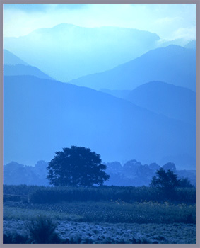e0013640_1155340.jpg