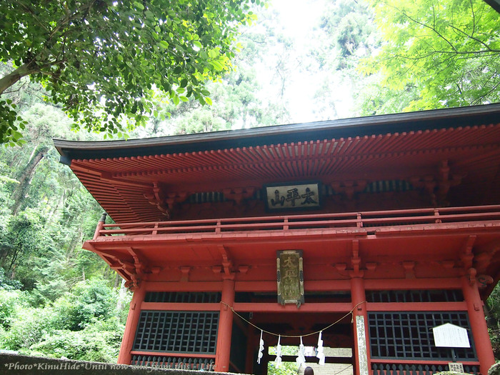 e0151944_4524158.jpg