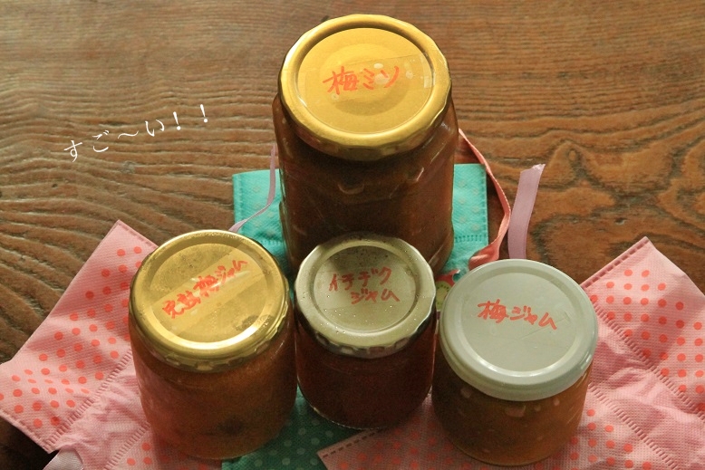 c0145250_2028404.jpg