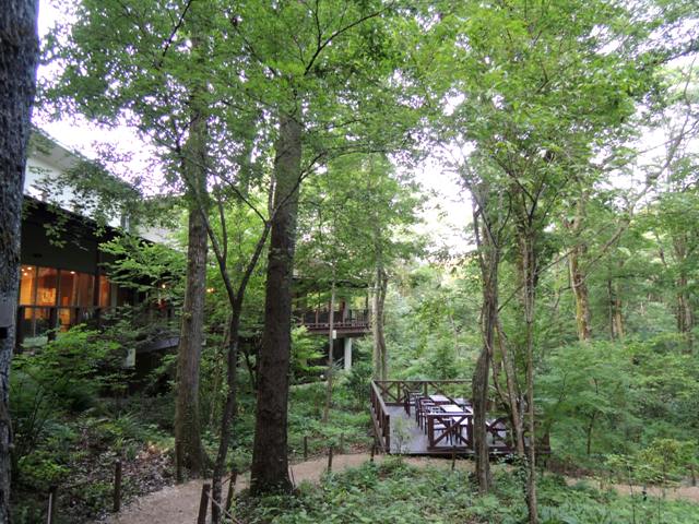 b0173754_233898.jpg