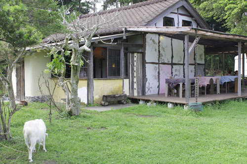 e0118654_10344739.jpg
