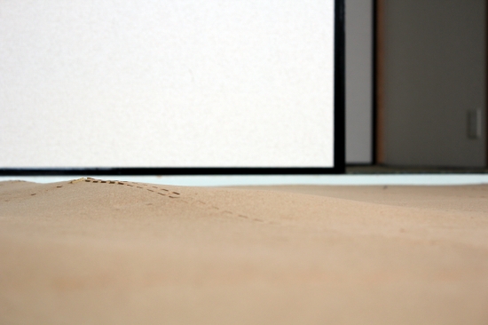 c0201257_1658850.jpg