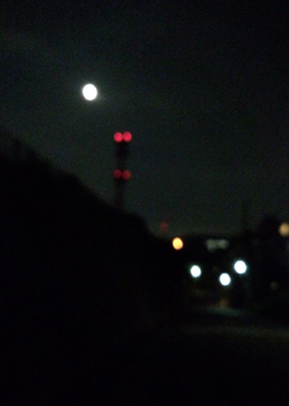 c0097558_11414378.jpg