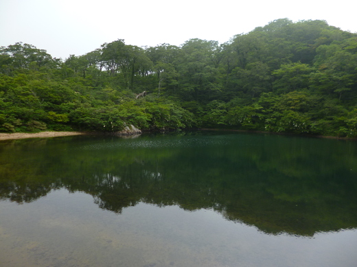 d0231858_129777.jpg