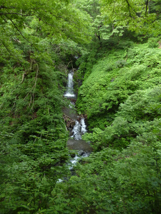d0231858_823283.jpg