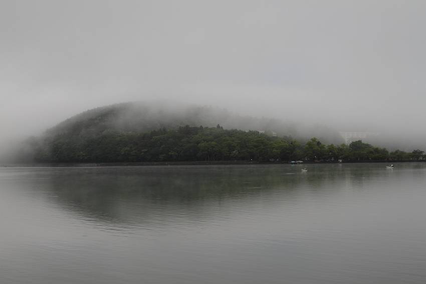 f0103860_23334996.jpg