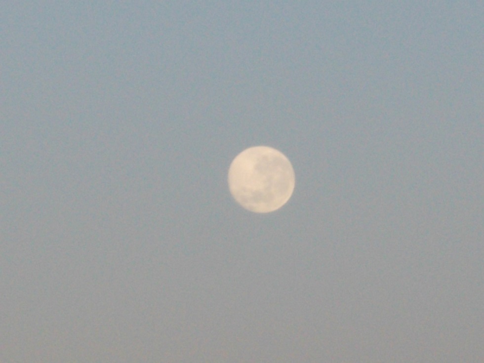 c0103368_435635.jpg