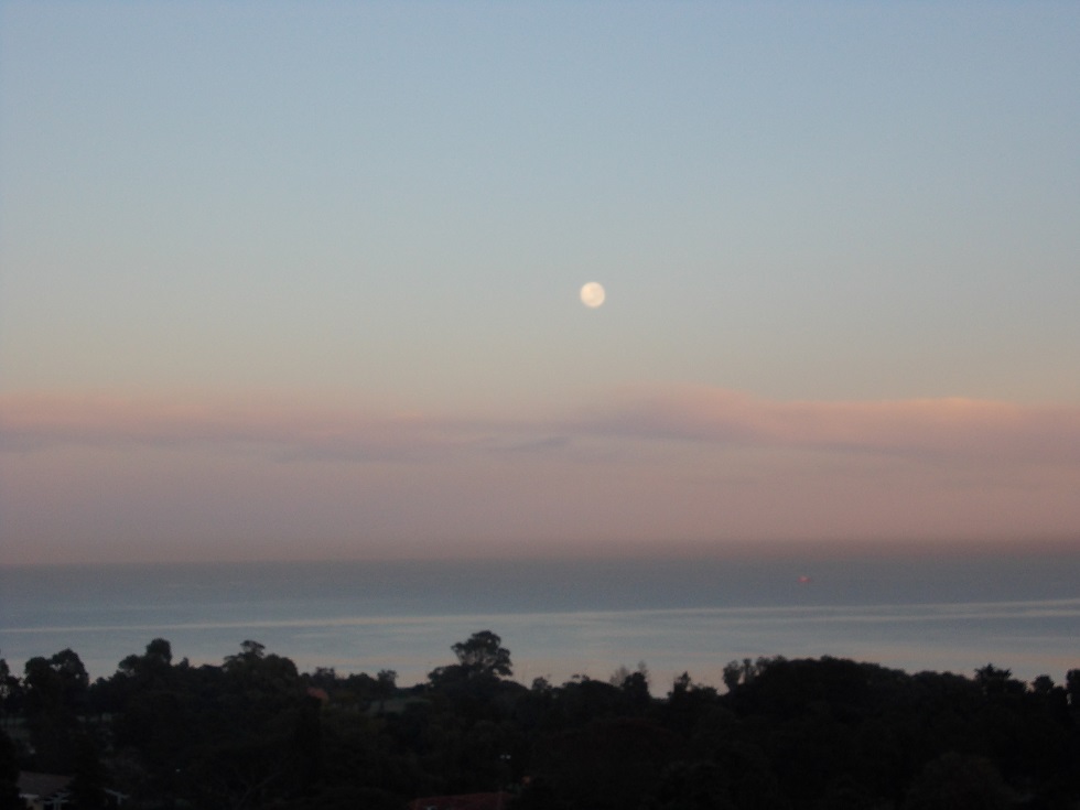 c0103368_454014.jpg