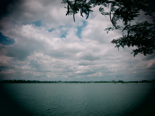 a0002177_1211316.jpg
