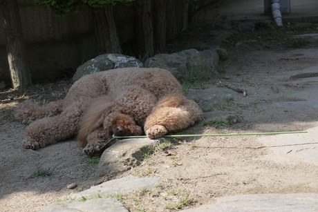 c0283778_1643675.jpg
