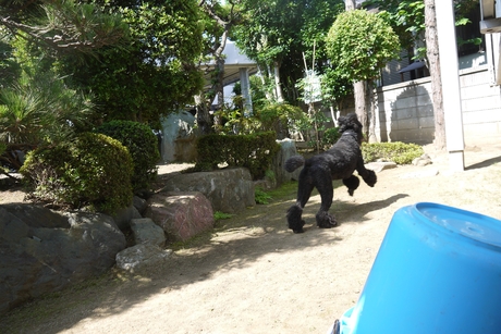 c0283778_1671619.jpg