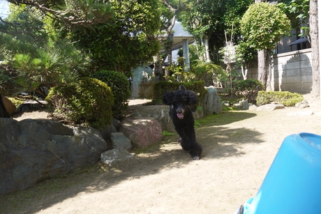 c0283778_168476.jpg