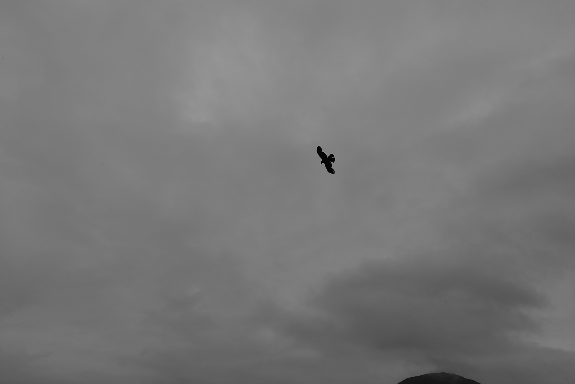 a0140890_21115571.jpg