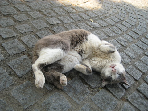 f0201297_1233978.jpg