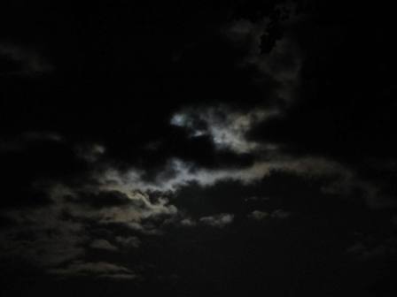 b0110999_1922233.jpg