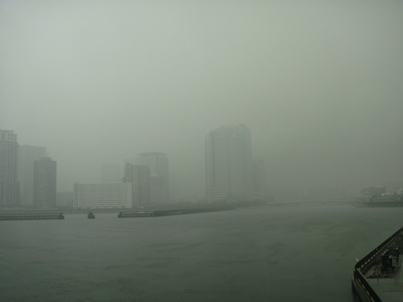 a0167803_8391230.jpg