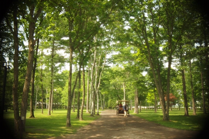 c0202705_2045955.jpg
