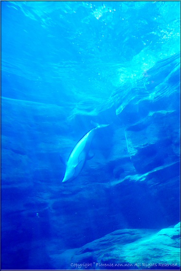 e0137705_07038.jpg