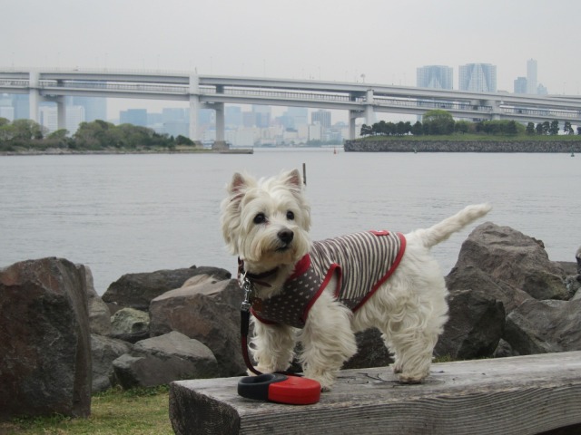 f0039907_1727174.jpg