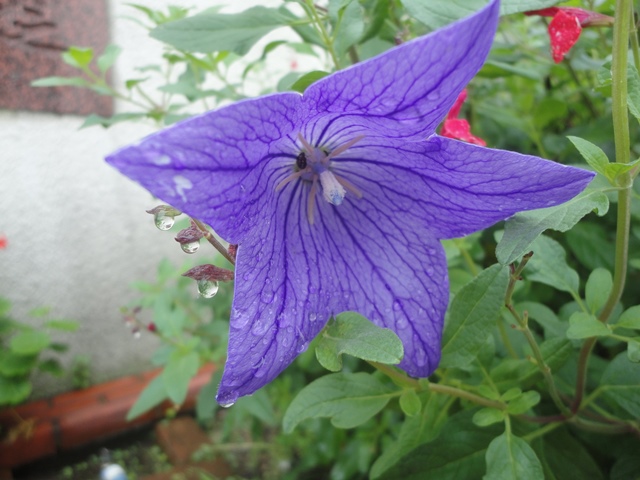 f0231709_19132912.jpg