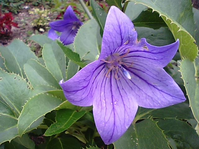 f0231709_19161511.jpg