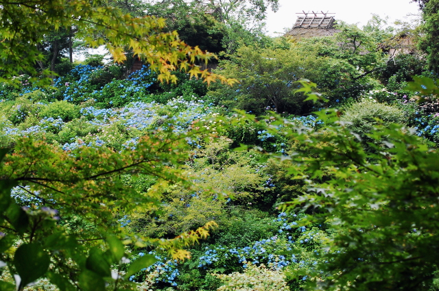 f0248120_22282677.jpg