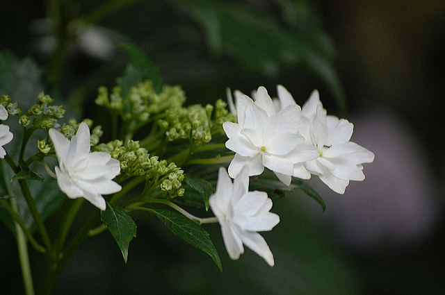 f0248120_2243214.jpg