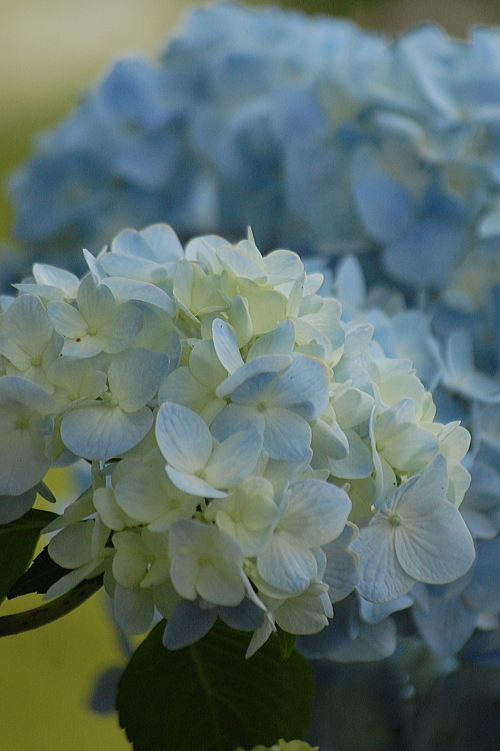 f0248120_2244416.jpg