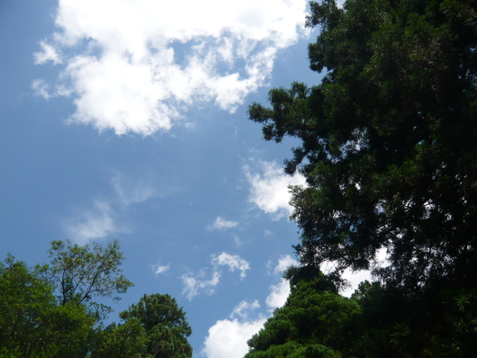 a0206332_862811.jpg