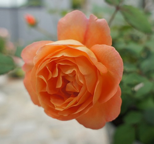 f0205733_17202750.jpg