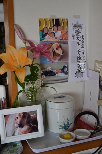f0120736_10381151.jpg