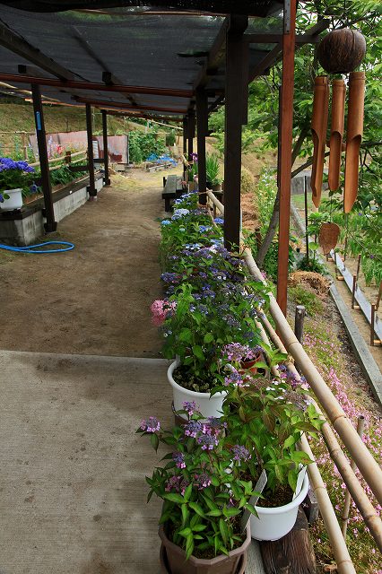a0242438_8322858.jpg